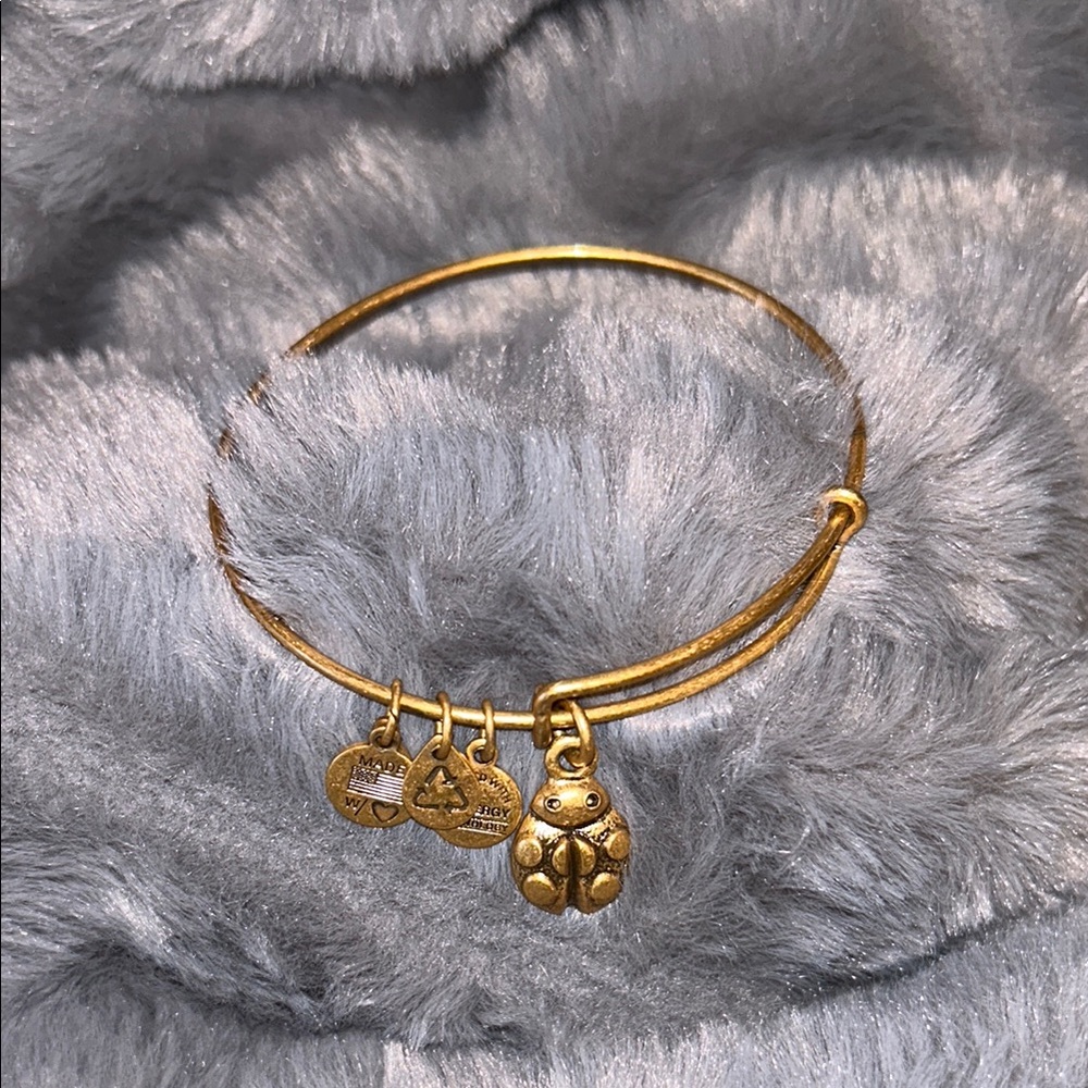 Alex and Ani Gold Ladybug Charm Bracelet